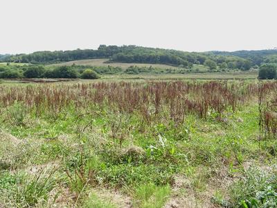 Corps de ferme - 100 m² - 5 pièces