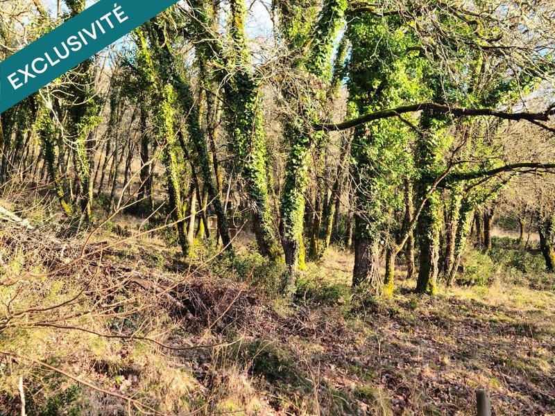 Maison - 66 m² - 3 pièces