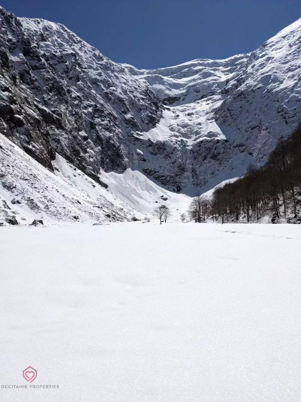 Propriété - 280 m² - 11 pièces