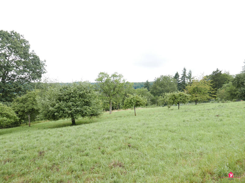 Terrain - 6 121 m²