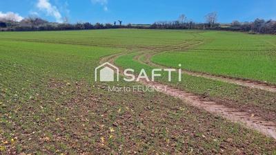 Terrain - 12 700 m²