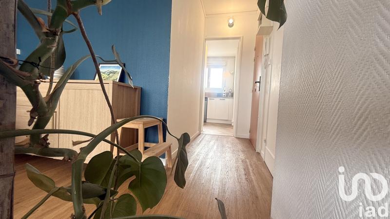 Appartement - 55 m² - 3 pièces