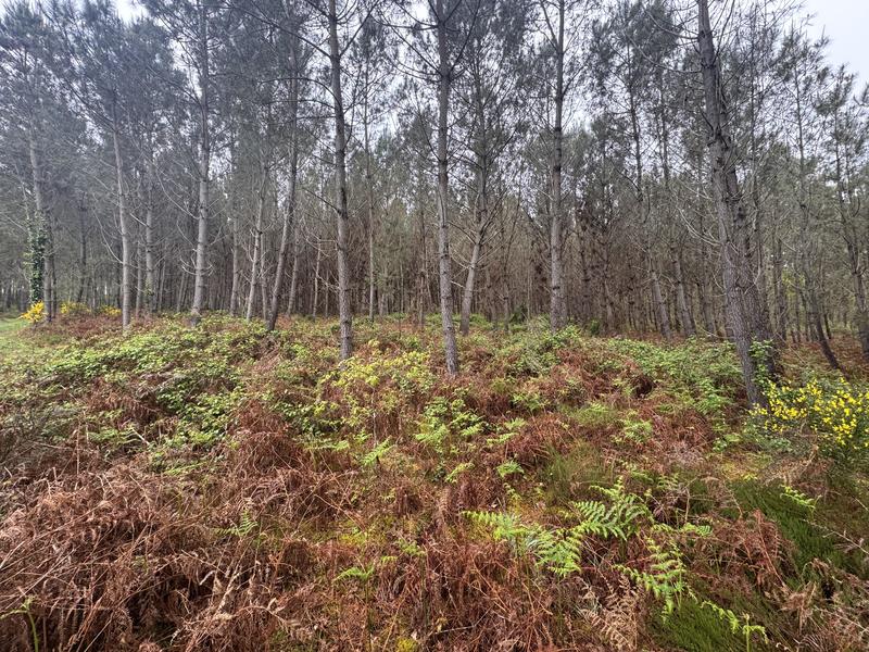 Terrain - 48 400 m²