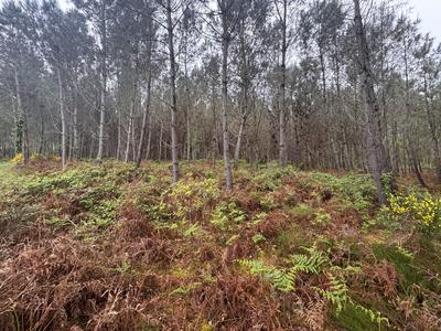 Terrain - 48 400 m²