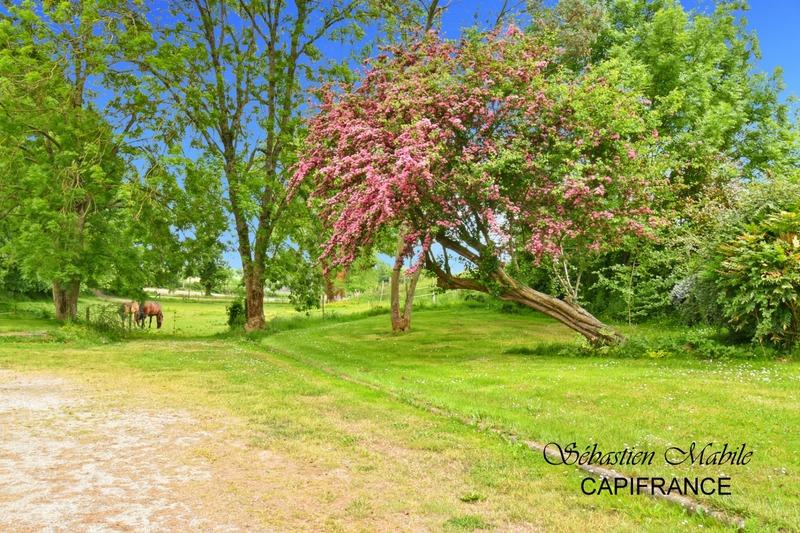 Maison - 163 m² - 4 pièces