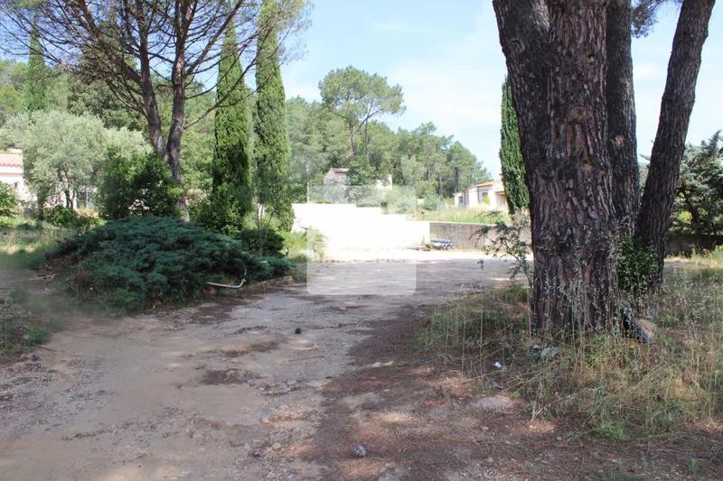 Terrain constructible - 1 203 m²