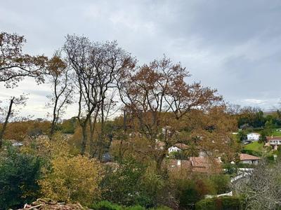 Maison - 131 m² - 5 pièces