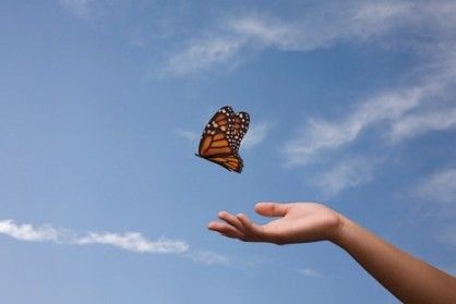 Psychanalyste, Psychopraticien, Thérapeute