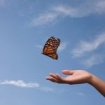 Psychanalyste, Psychopraticien, Thérapeute