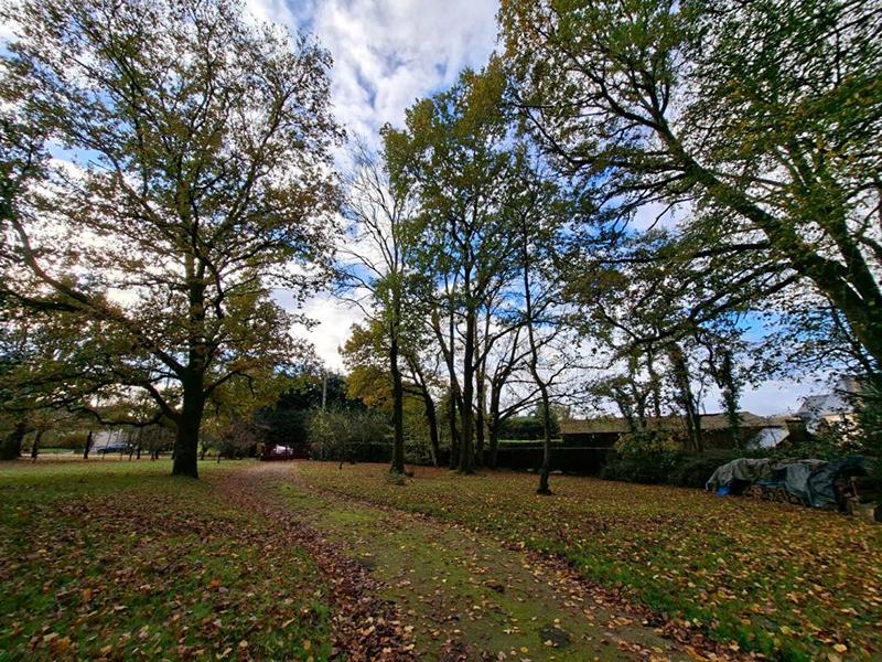 Propriété - 7 pièces