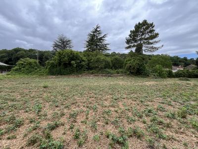 Terrain - 1 000 m²