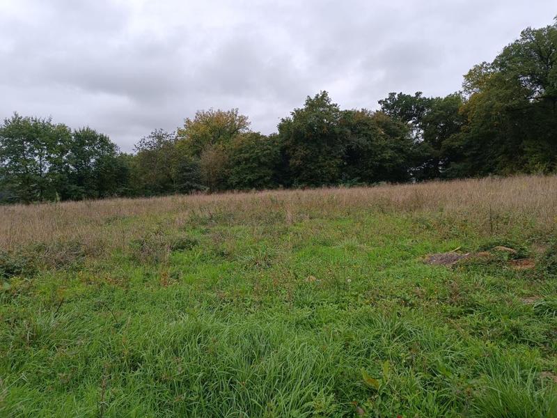 Terrain constructible - 6 309 m²