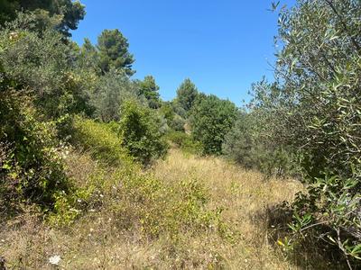 Terrain constructible - 5 626 m²