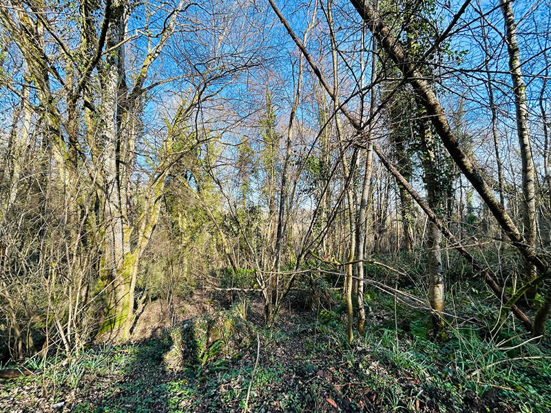 Terrain de loisirs - 21 993 m²