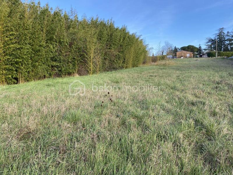 Terrain - 1 255 m²