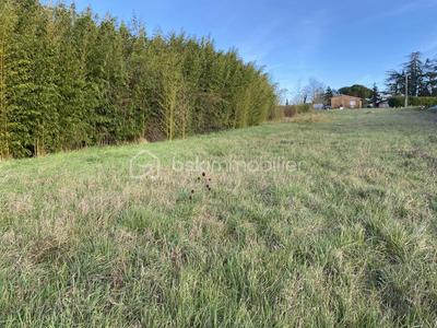 Terrain - 1 255 m²