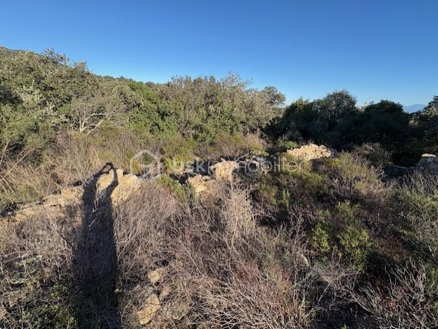 Terrain agricole - 10 160 m²