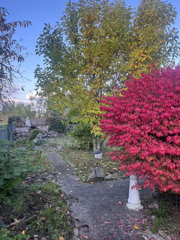 Maison - 104 m² - 4 pièces