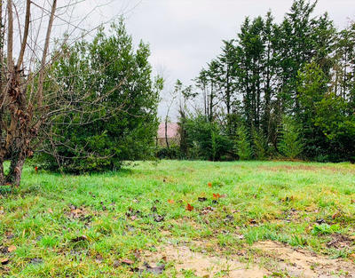 Terrain constructible - 1 037 m²