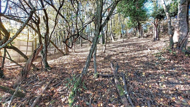 Terrain agricole - 1 823 m²