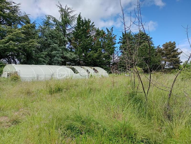 Propriété - 244 m² - 10 pièces