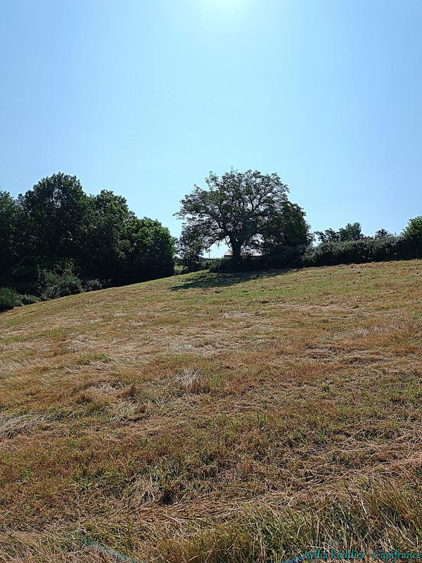 Terrain constructible - 4 580 m²