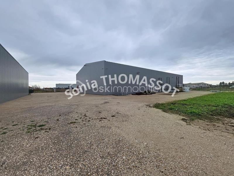 Bureau - 350 m² - 4 pièces