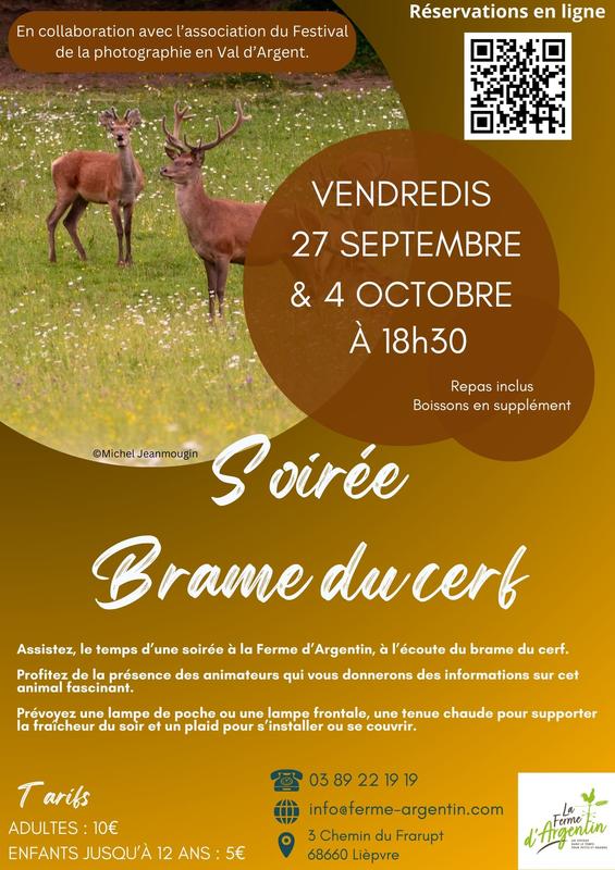 Brâme du cerf