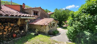 Maison - 300 m² - 12 pièces