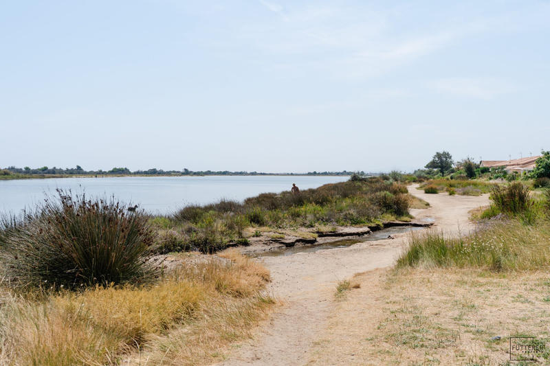 Appartement - 23 m² - 2 pièces