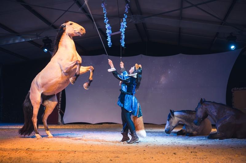 Spectacle équestre "Les contes oubliés"