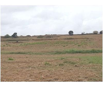 Terrain - 83 245 m²