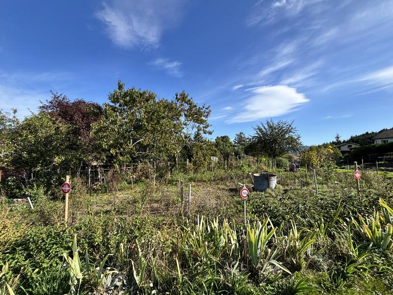 Maison ancienne - 90 m² - 4 pièces