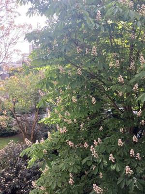 Appartement - 29 m² - 1 pièce