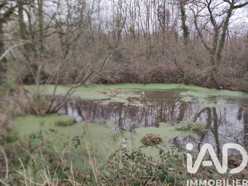 Terrain - 12 000 m²