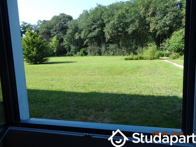 Appartement - 21 m² - 1 pièce