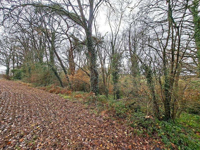 Terrain - 25 150 m²