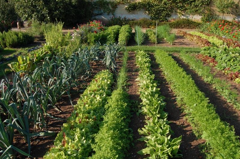 Propriété - 1 425 m² - 24 pièces