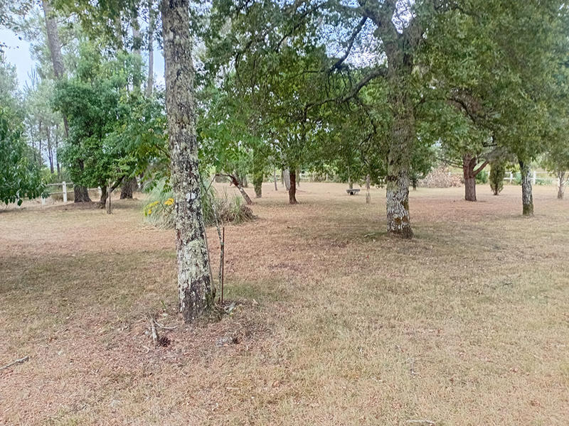 Maison - 134 m² - 9 pièces