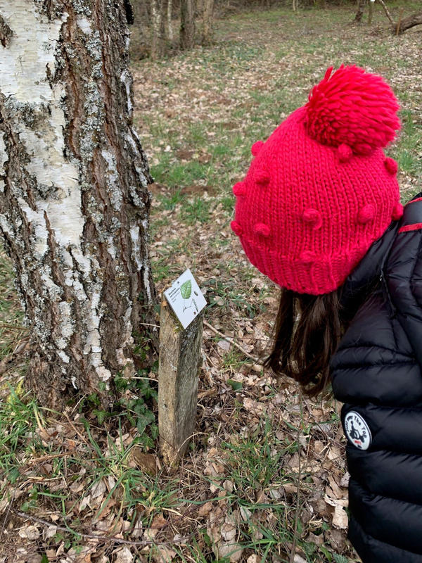 Escape Game : la forêt au fil de l'eau à l'ombre des chênes centenaires