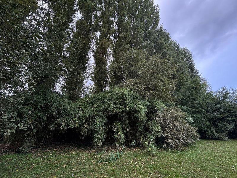 Maison - 160 m² - 9 pièces