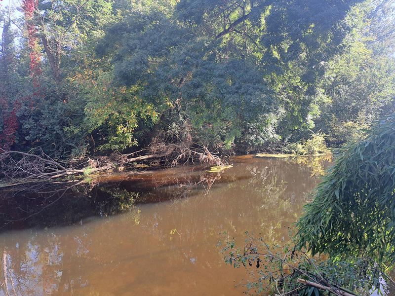 Terrain de loisirs - 38 m²