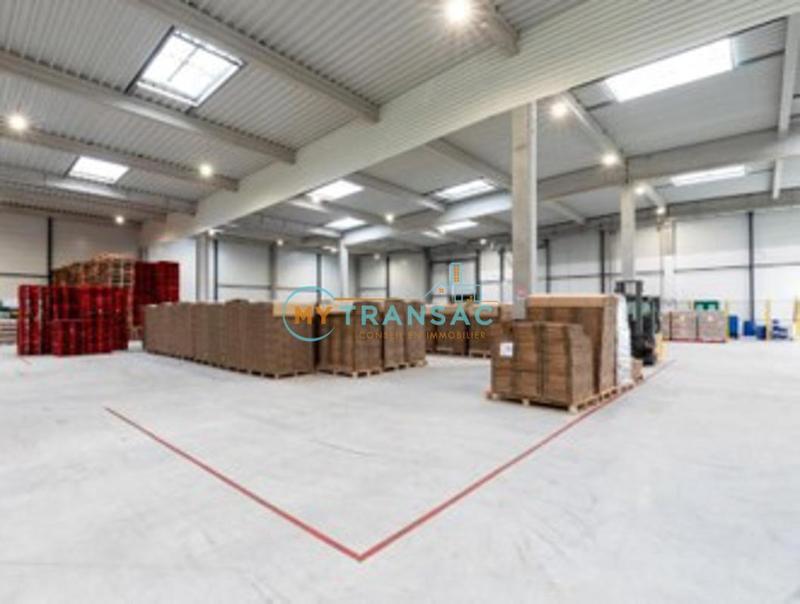 Local d'activités - 6 088 m²