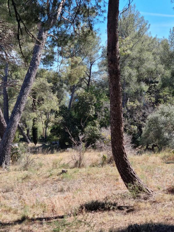 Terrain constructible - 1 058 m²