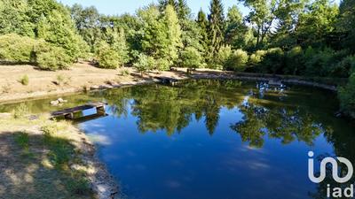 Terrain - 11 902 m²