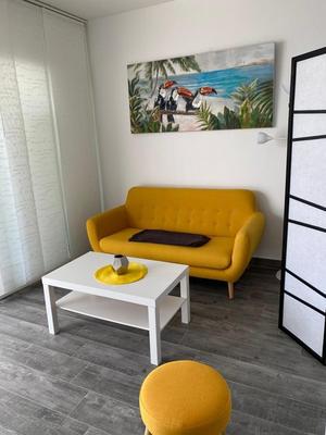 Loft - 44 m² - 1 pièce