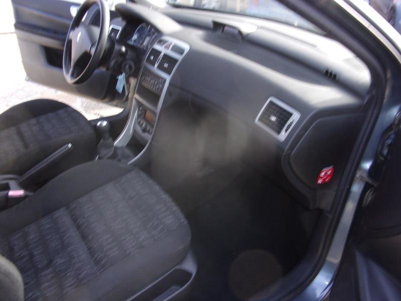 Peugeot 307 2,0 Hdi Xt 90cv