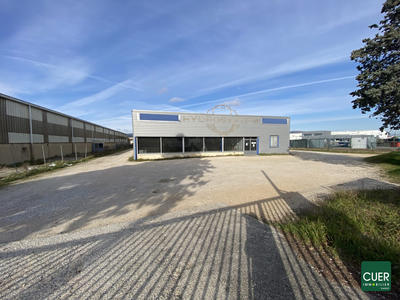 Local d'activités - 980 m²