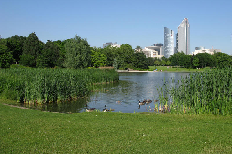 Appartement - 85 m² - 4 pièces