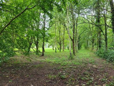 Terrain agricole - 11 063 m²